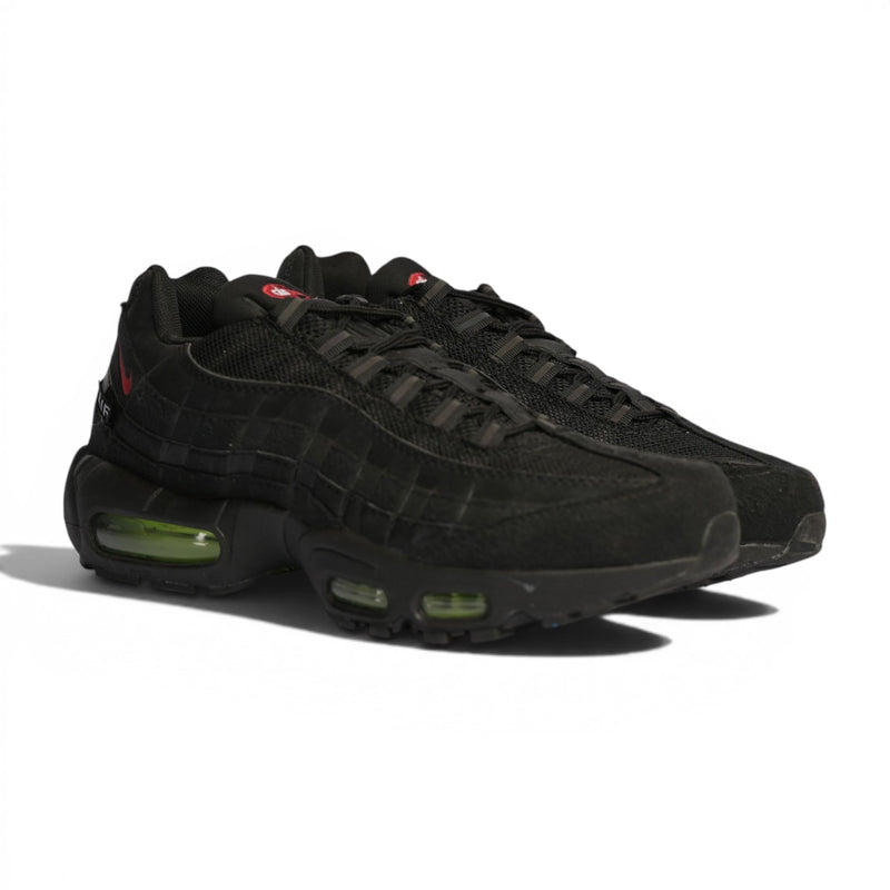 Nike Air Max 95 "LeBron"